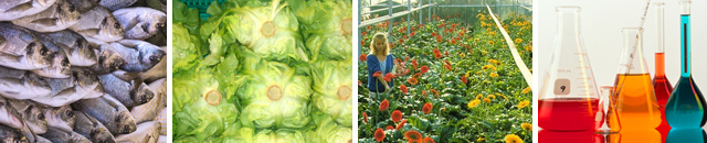 Temperature controlled distribution